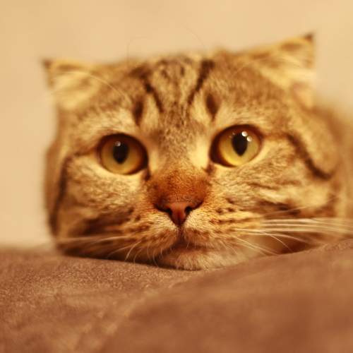 Photo #7643671
