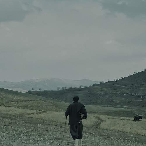 Photo #7643737