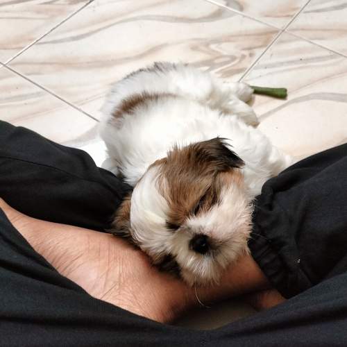 Photo #7643783