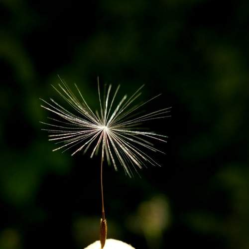 Photo #7643927