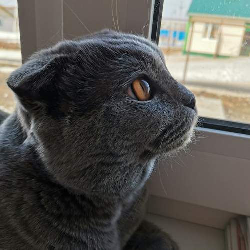 Photo #7644141