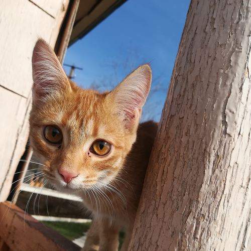 Photo #7644242