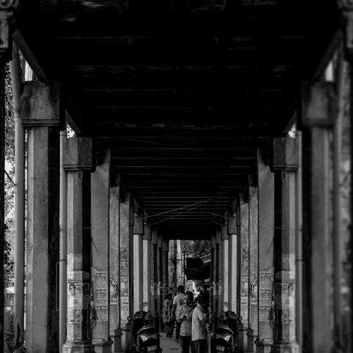 Photo #7644340