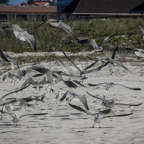 Photo #7644449