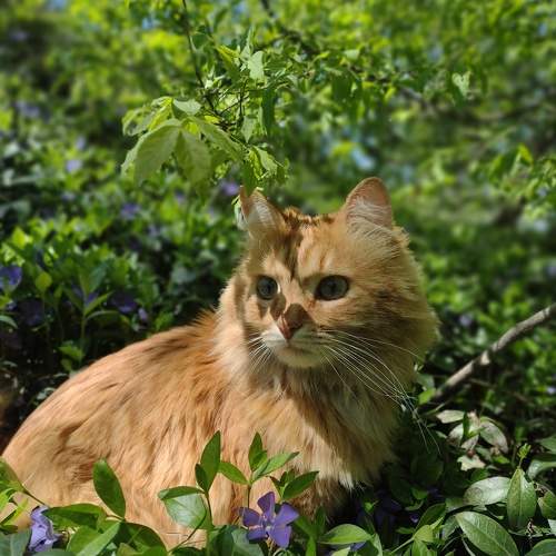 Photo #7644538