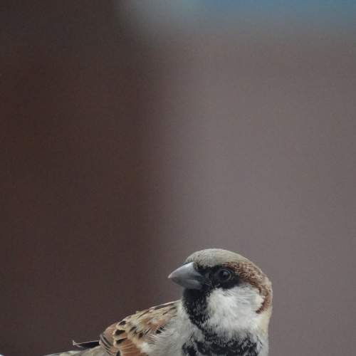 Photo #7644830