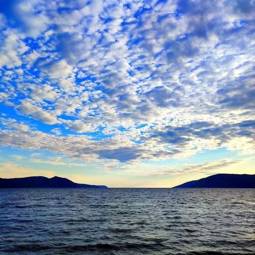 Photo #7645215
