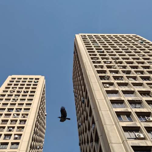 Photo #7645226