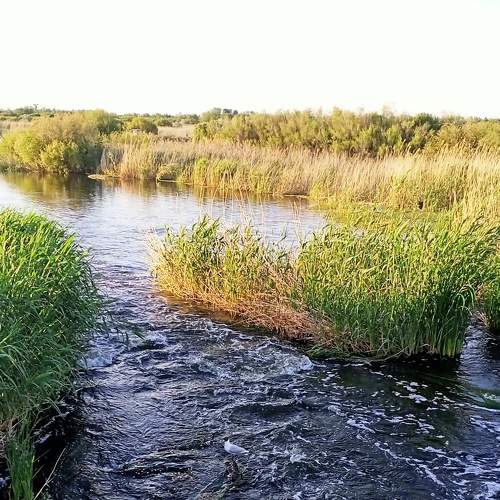 Photo #7645876