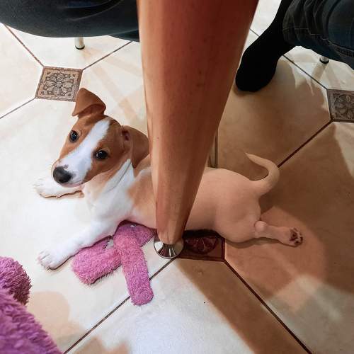Photo #7646283