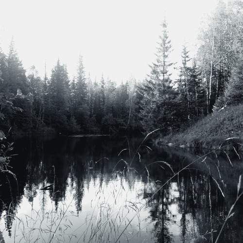 Photo #7646318
