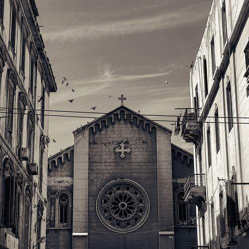 Photo #7646569
