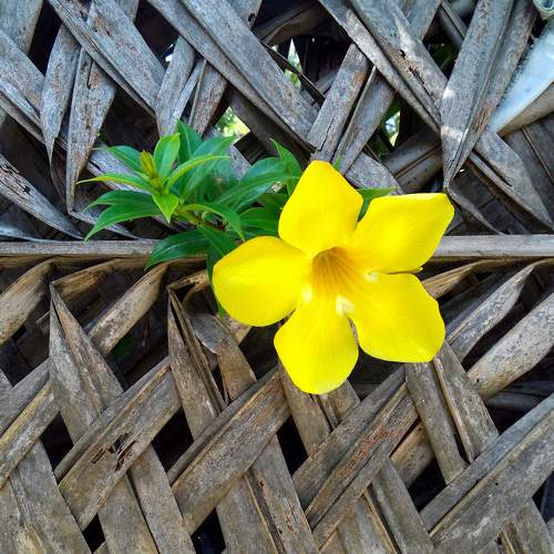 Photo #7646837