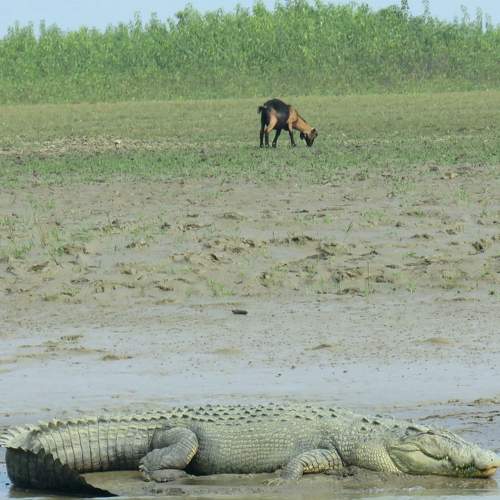 Photo #7646913
