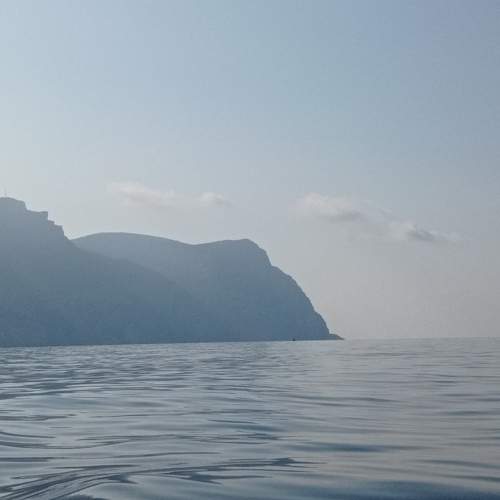 Photo #7647137