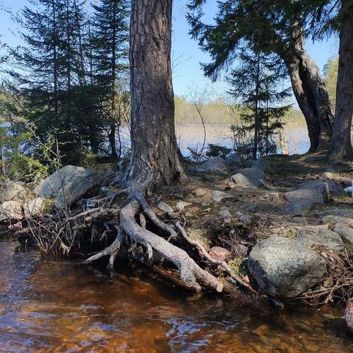 Photo #7647394