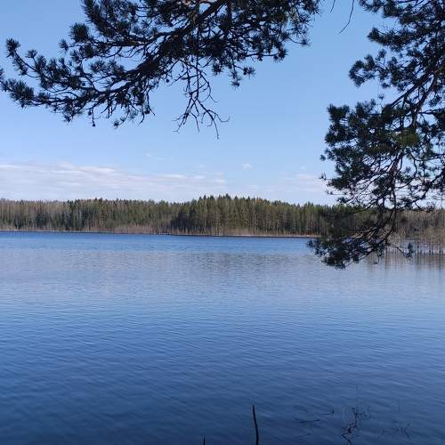 Photo #7647406