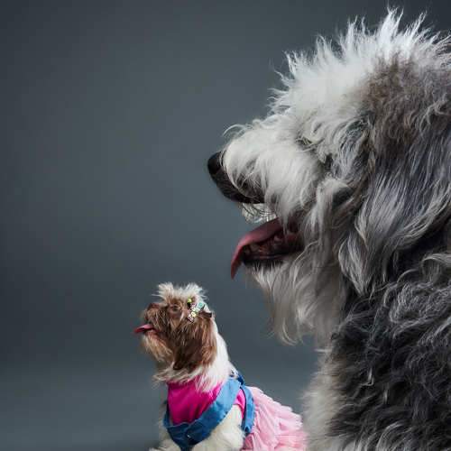 Photo #7647458