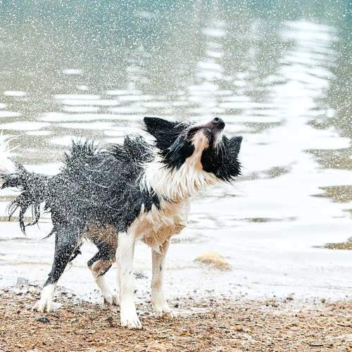 Photo #7647459