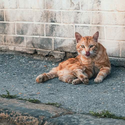 Photo #7648185