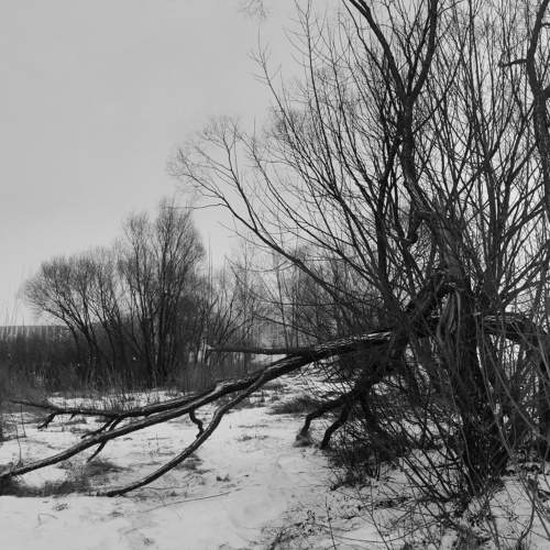 Photo #7648482