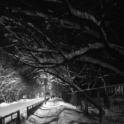 Photo #7648510