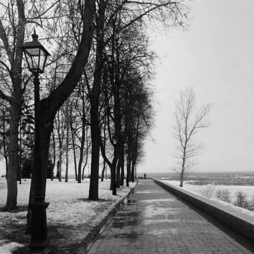 Photo #7648528