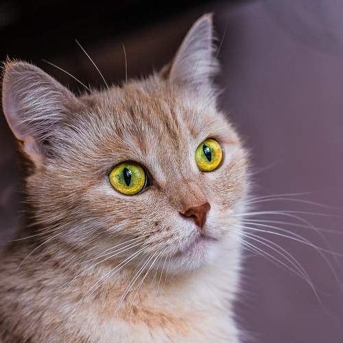 Photo #7648564