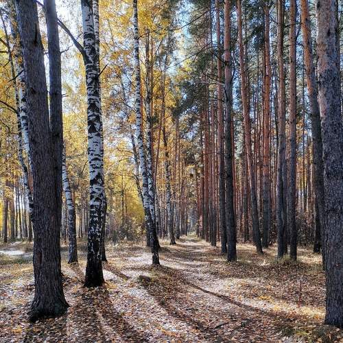Photo #7648634