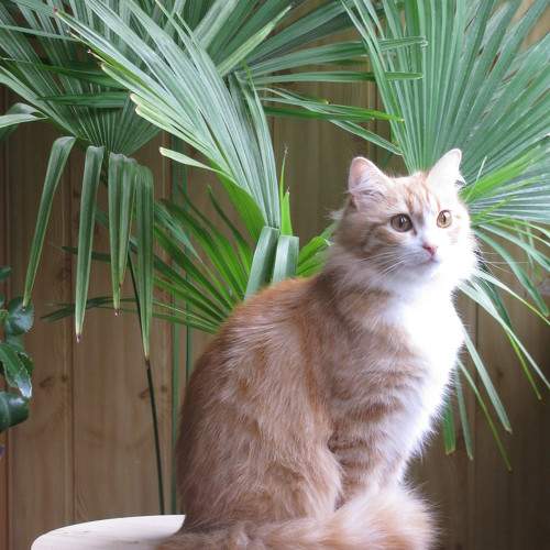 Photo #7648702