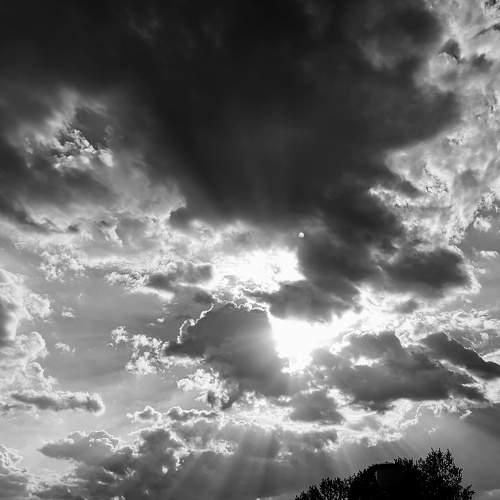 Photo #7648806