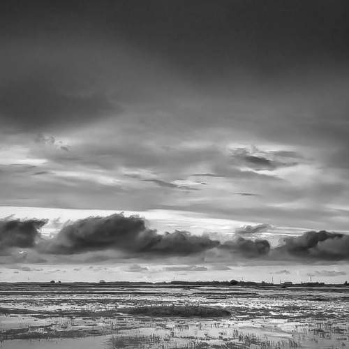 Photo #7648984