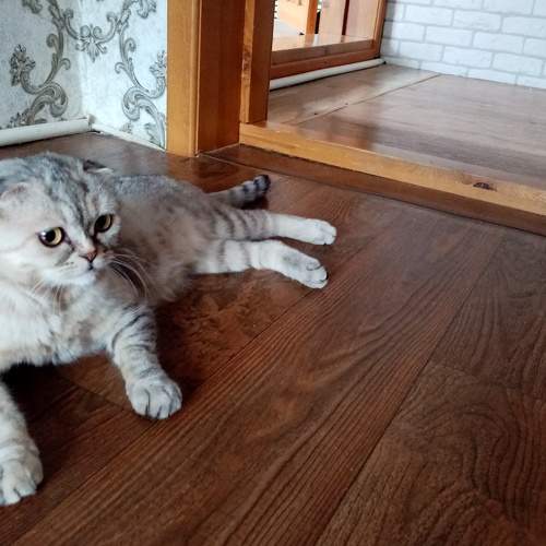 Photo #7649131