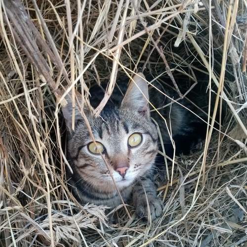 Photo #7649147