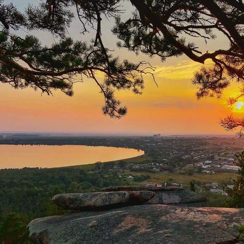 Photo #7649445
