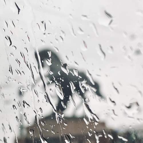 Photo #7649659