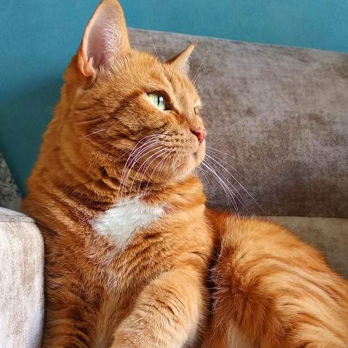 Photo #7649708