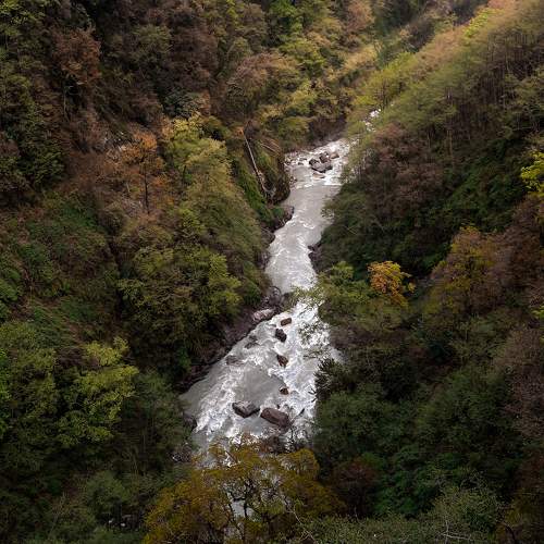 Photo #7650123