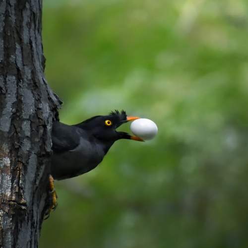 Photo #7650271