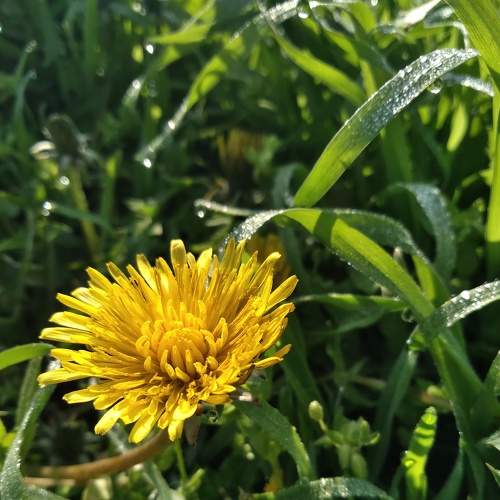 Photo #7650314