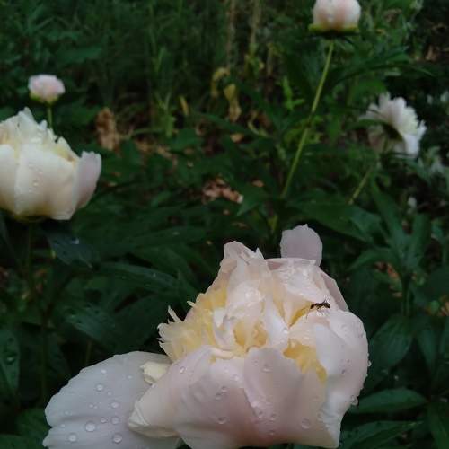 Photo #7650316