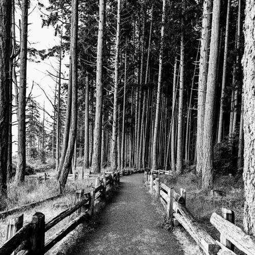 Photo #7650500