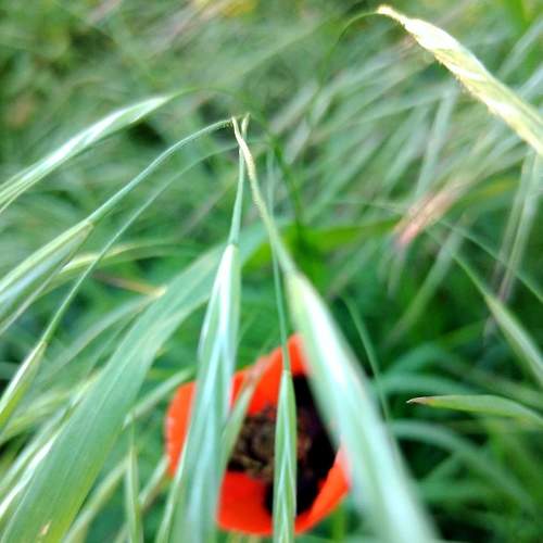 Photo #7650612