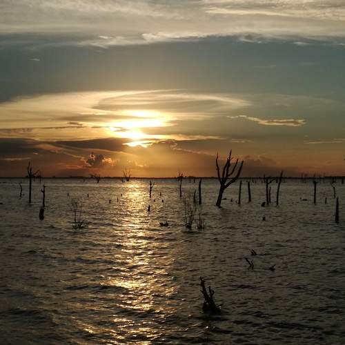 Photo #7651050