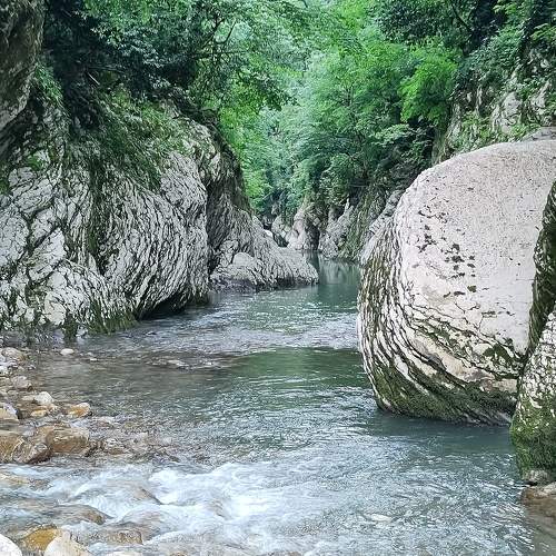 Photo #7651292
