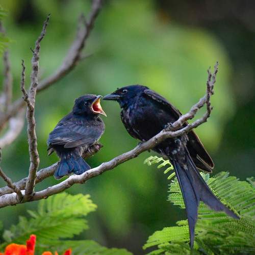 Photo #7651400