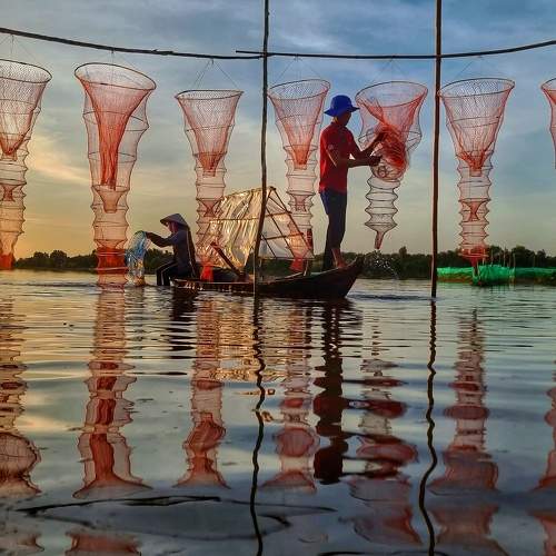 Drying nets