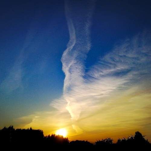 Photo #7651516