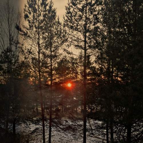 Photo #7651526