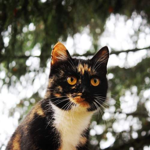 Photo #7651536